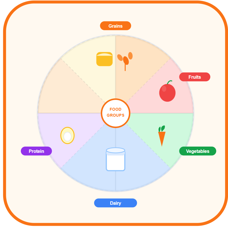 The 5 Food Groups - Learn and Match